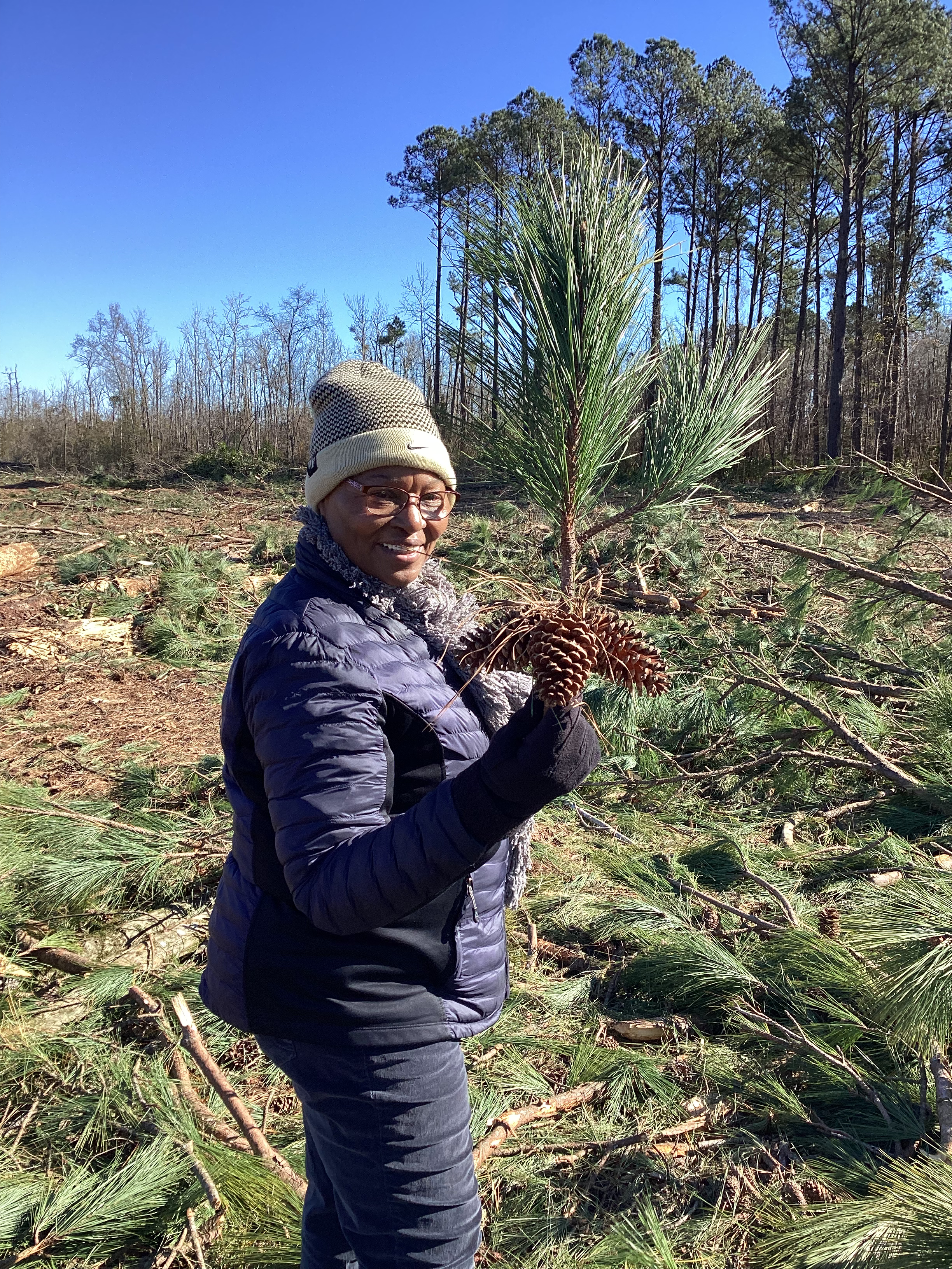 Constance Stancil holding longleaf pine cones at the tree farm