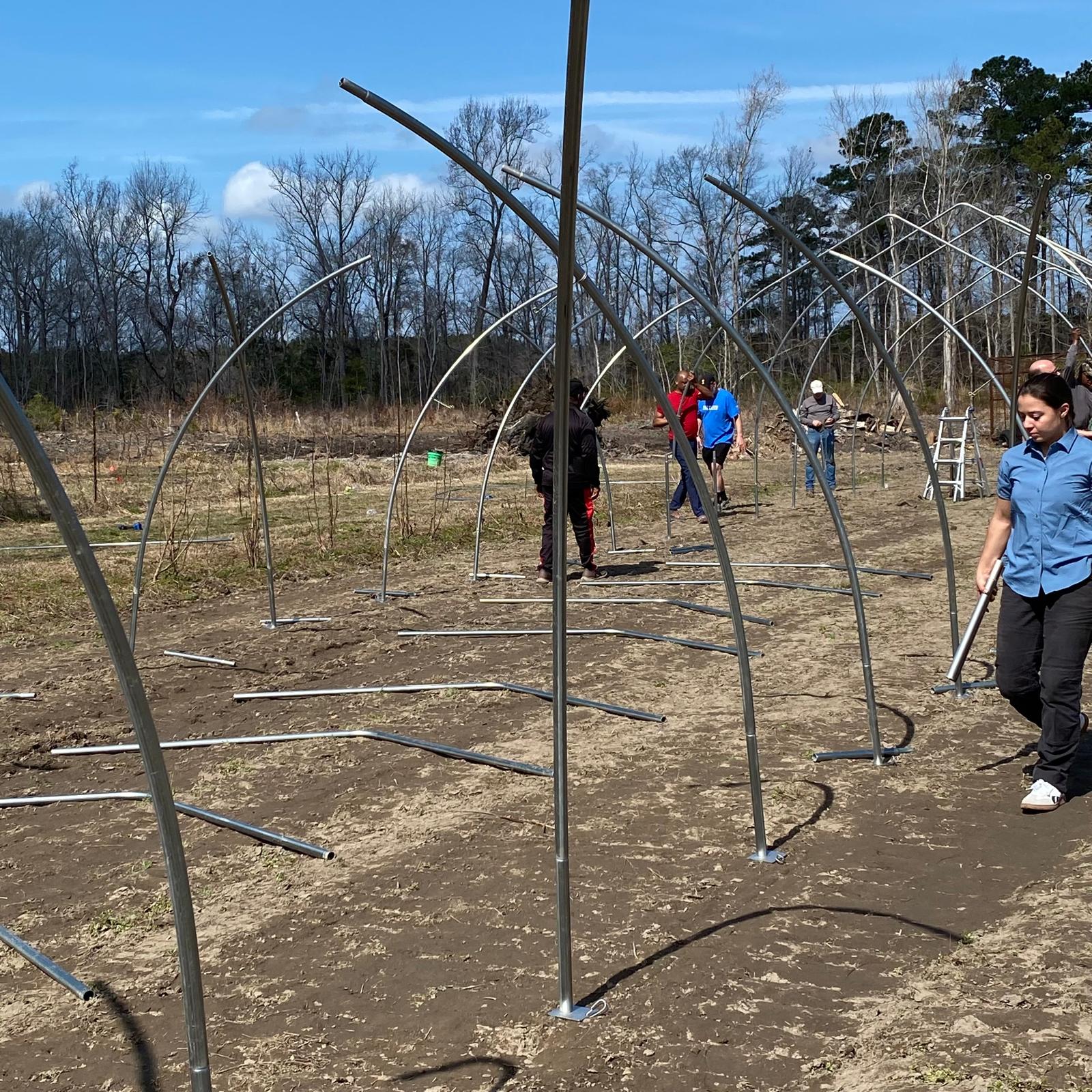Community volunteers erecting the high tunnel arch frames