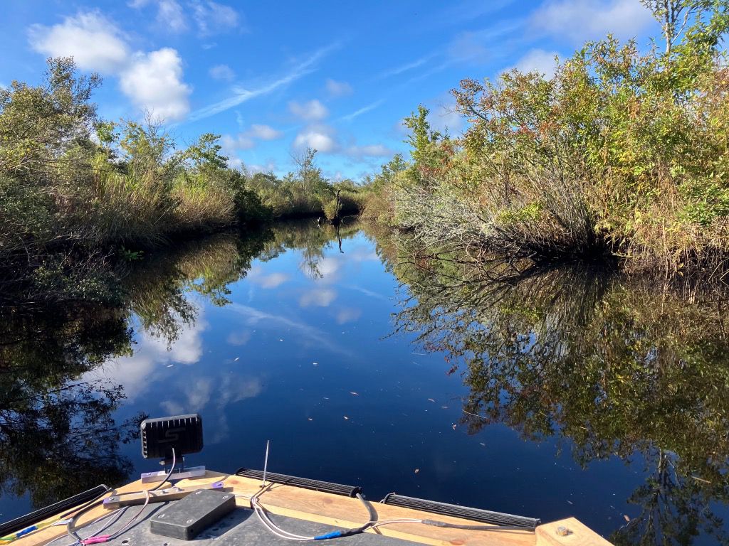 Looking down the White Oak River through a wetland corridor on a clear day
